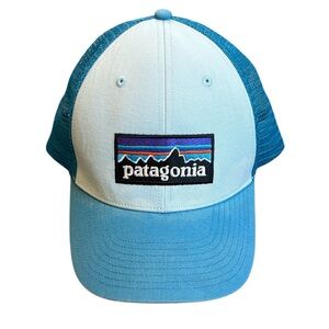 Patagonia Fitz Roy Horizon Snap Back Trucker Hat Mesh Cap OSFA Embroidered